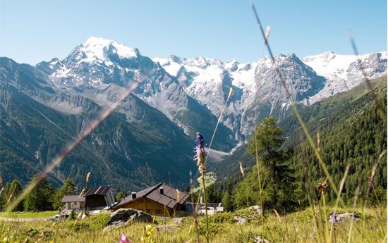 Rifugio Forcola