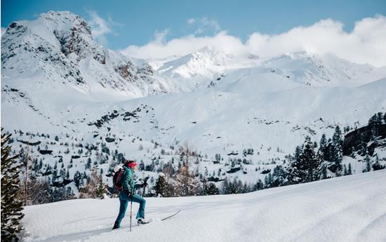 Marmotta peak